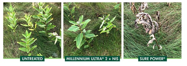 comparing Millennium ultra and sure power